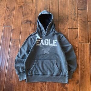 American Eagle Outfitters Eagle Graphic Pullover Hoodie
